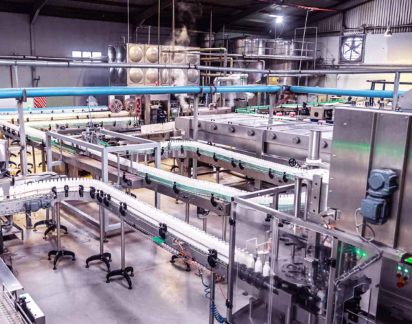 Untitled design (45)